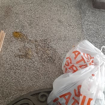 Kurye Dikkatsizliği: Kapı Önüne Bırakılan Siparişte Kırık Yumurta Ve Sağlık Riski