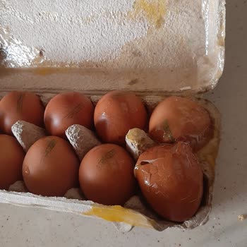 Kurye Dikkatsizliği: Kapı Önüne Bırakılan Siparişte Kırık Yumurta Ve Sağlık Riski