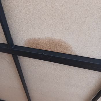 Garanti Dışı Teşhir Baza Arızası İçin Ücretsiz Onarım Talebi