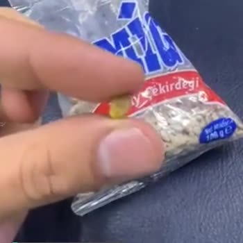 Amigo Ay Çekirdeği İçi