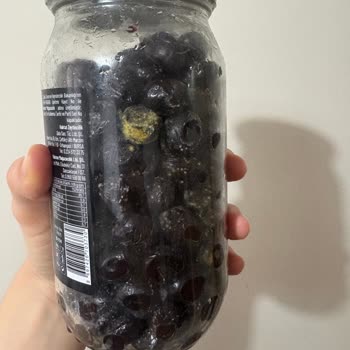 Son Kullanma Tarihi İçinde Küflenen Açılmamış Zeytin Ürünü