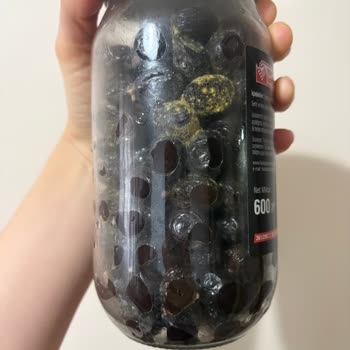 Son Kullanma Tarihi İçinde Küflenen Açılmamış Zeytin Ürünü