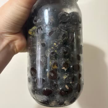 Son Kullanma Tarihi İçinde Küflenen Açılmamış Zeytin Ürünü