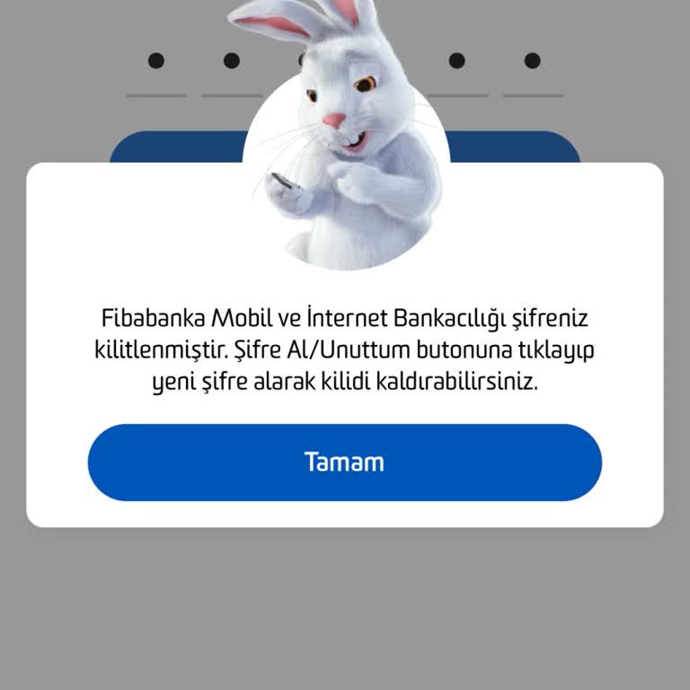 Fibabanka Mobil Uygulama Girişi Kilitleniyor, Şifre Yenileme Ve Blok Kaldırma Talebi