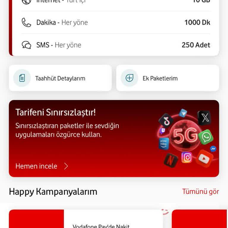 FreeZone Geçişi Reddedildi Ve Yüksek Tarife Şikayeti