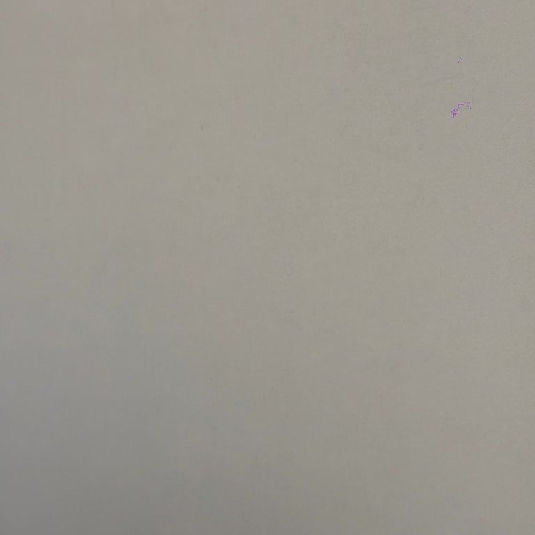 Apple Kamera Defekti Garanti Dışı Ve Ücretli Değişim Teklifi