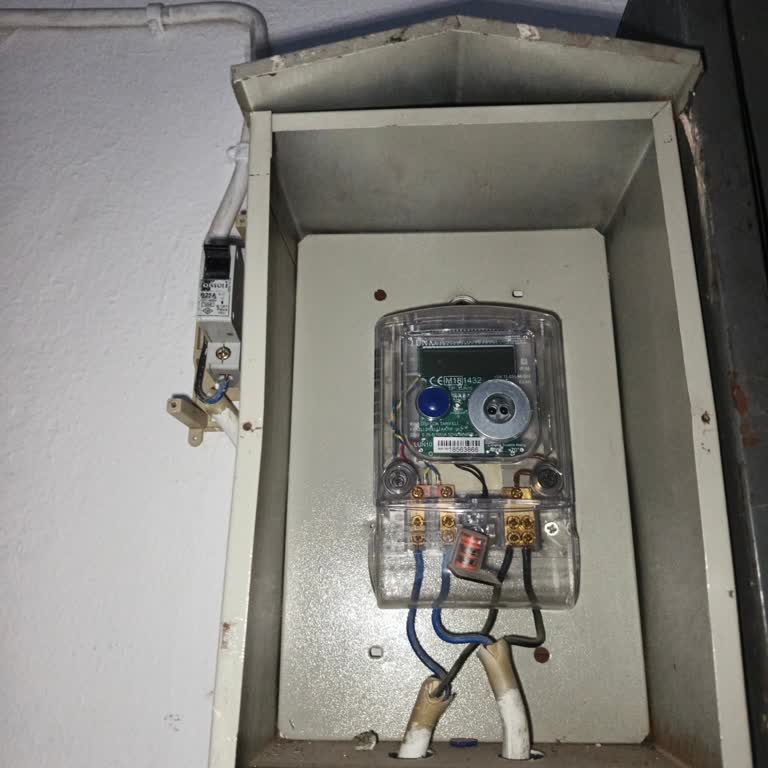 Kuş Çarpması Nedeniyle Elektrik Kesintisi Ve Gecikmeli Müdahale