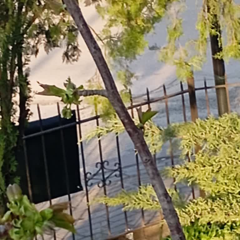 Kablonun Kopması Sonrası 1 Aylık İnternet Ve TV Kesintisi