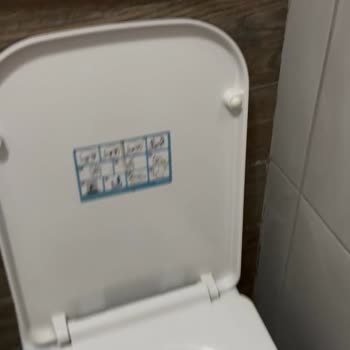 Turkuaz Klozet Kapağı Bağlantı Parçası Yedek Aranıyor