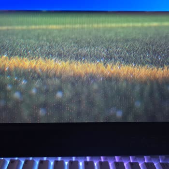 Kırmızı Nokta Arızalı Monitör Ve Satıcı Müşteri Hizmetlerine Ulaşılamıyor