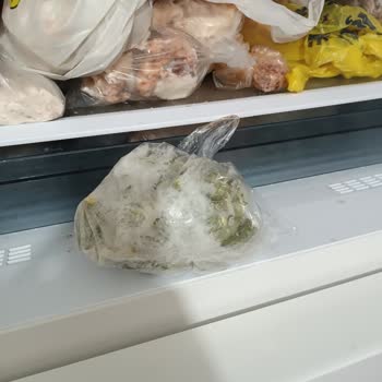 Buzlukta Sürekli Karlama Ve Yoğun Koku, Garanti Kapsamında Ücretsiz Servis Talebi