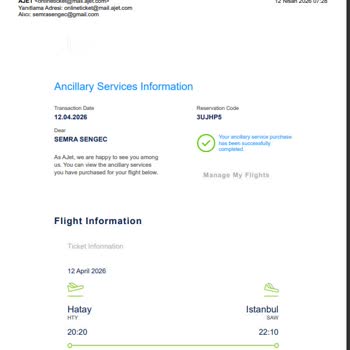 Ücretli Koltuk Satışı Ve Checkin Sorunu Nedeniyle 10.000 TL Ek Masraf Ve İade Talebi