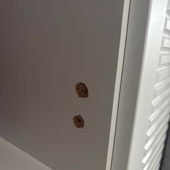 Menteşesi Kırılan Gardıropta Garanti Reddi Ve Ücretsiz Onarım Talebi