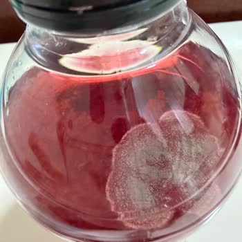 Küflü Ve Tortulu Pin Drinks İçeceği: Son Kullanma Tarihi Geçmemiş