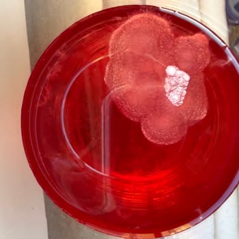 Küflü Ve Tortulu Pin Drinks İçeceği: Son Kullanma Tarihi Geçmemiş