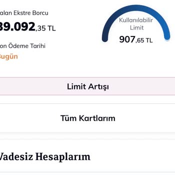 Yetkisiz Otomatik Ödeme Talimatı Ve Hatalı Borç Kaydı Düzeltme Talebi