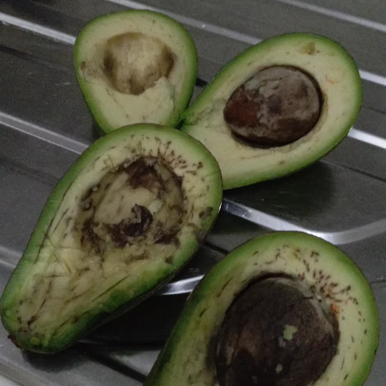 Avokado Paketi Hızlı Bozuldu: İade Talebi