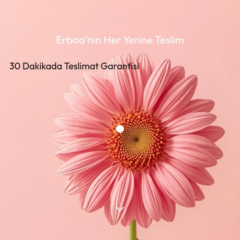 Hemencicekci.com Yanıltıcı Ödeme Talimatı Sonrası İade Talebi