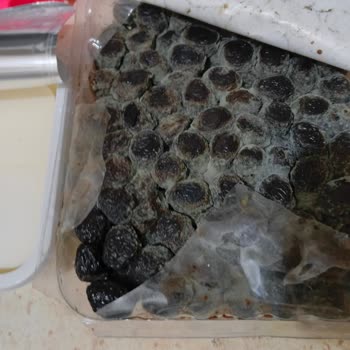 Getir Büyük'ten Küflü Zeytin Ve Kötü Koku Yapan Peynir Teslimatı