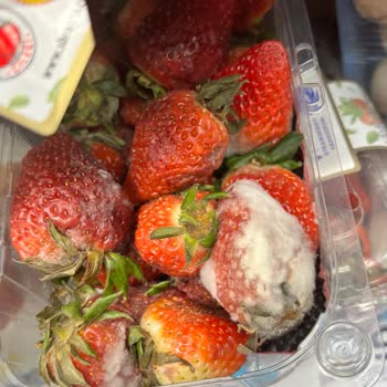 A101 Hasanbey Şubesinde Çürük Ve Küflü Çilekler Raflarda