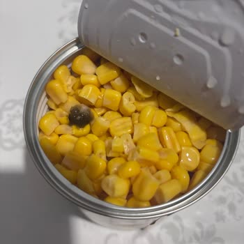 Yurdum Teneke Mısır Konservesinde Yabancı Madde Bulunması