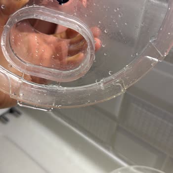 Kumtel 12in1 Pro Mutfak Robotunda Plastik Hazneler Matlaşarak Kireç Lekesi Oluşturdu