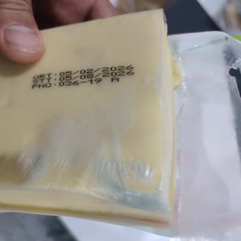 Kısa Sürede Küflü Kaşar Peynirinde Sağlık Endişesi