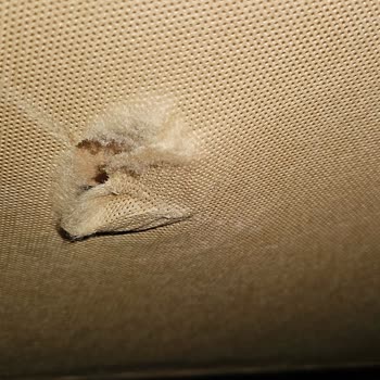 Kelebek Mobilya'dan Hasarlı Mobilya Teslimatı Ve Cevapsız Müşteri Hizmeti