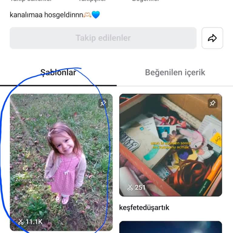 Capcut'ta 13 Yaşındaki Kardeşimin Fotoğrafı İzin Almadan Paylaşıldı, Hemen Kaldırılmalı