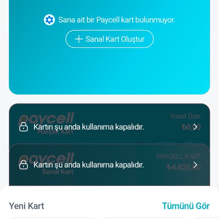 Sanal Kartım Kapatıldı, 4800 TL Bakiyeye Erişemiyorum Ve Destek Yanıtı Yok