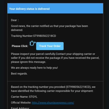Track718 Delivered Status Wrong and Bag Promo Packages Not Received