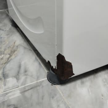 Kısa Sürede Gövde Çürümesi Ve Kilit Arızası Yaşayan Siemens Çamaşır Makinesi