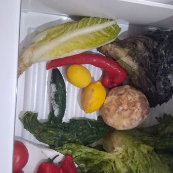 Garanti Süresi Dolmadan Sebze Çekmecesinde Buz Sorunu Ve Kalıcı Onarım Ya Da Ürün Değişimi Talebi