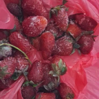 Garanti Süresi Dolmadan Sebze Çekmecesinde Buz Sorunu Ve Kalıcı Onarım Ya Da Ürün Değişimi Talebi