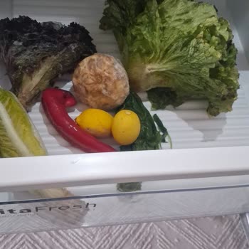 Garanti Süresi Dolmadan Sebze Çekmecesinde Buz Sorunu Ve Kalıcı Onarım Ya Da Ürün Değişimi Talebi