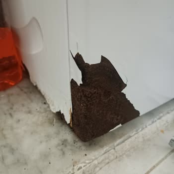 Deterjan Gözünde Çürüme Ve Yumuşatıcı Sorunu Nedeniyle Ürün Değişimi Talebi