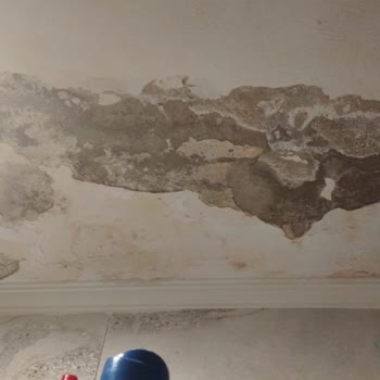 I Face Axa Insurance Claim Denial After Water Damage Leak