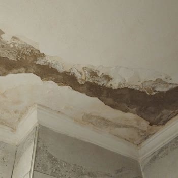 I Face Axa Insurance Claim Denial After Water Damage Leak