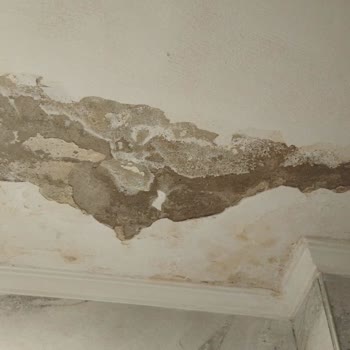 I Face Axa Insurance Claim Denial After Water Damage Leak