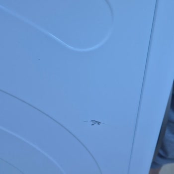 Kargo Görevlisinin Özensiz Taşıması Sonrası Bosch Kurutma Makinesinde Çizik