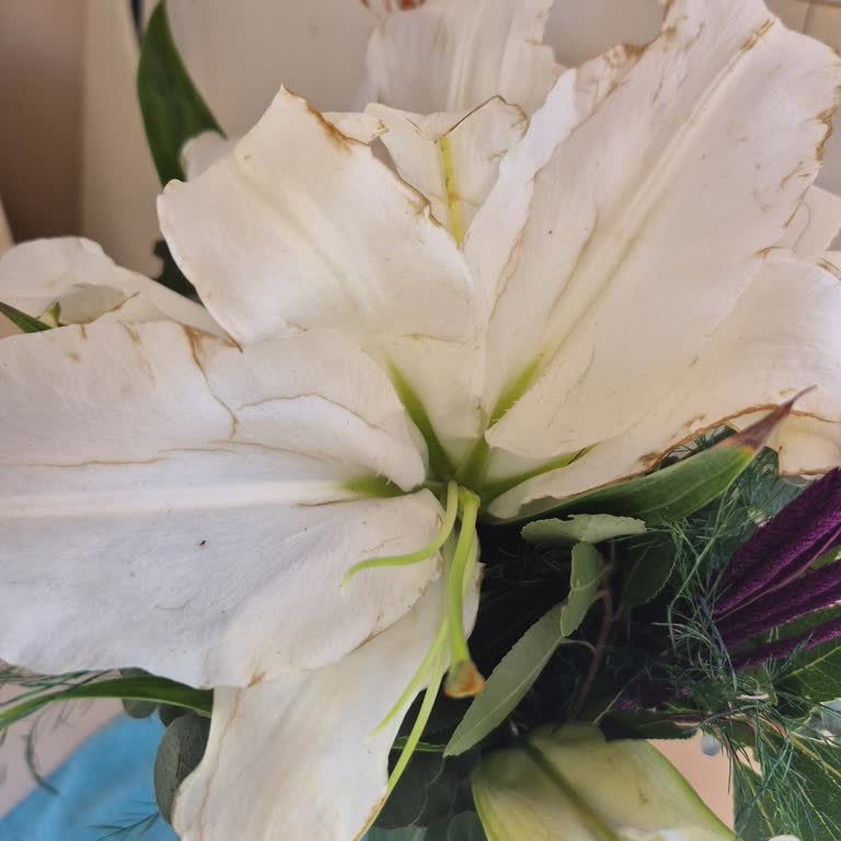 Öğretmen İçin 800 TL'lik Lilyum Çiçeği Solmuş