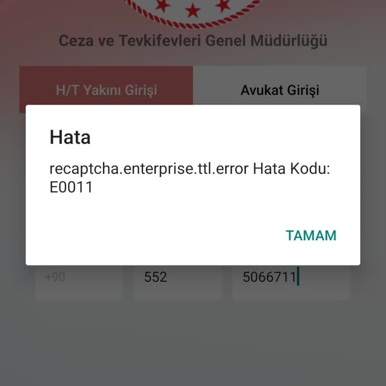 E-görüş E0011 Hata Kodu Veriyor Ve Hiçbir Şekilde Giriş Yapamıyorum
