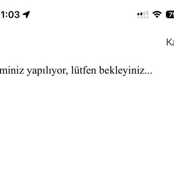 Trendyol’da Capital One Kartı Yanlış “Limit Aşımı” Hatası İle Reddediliyor