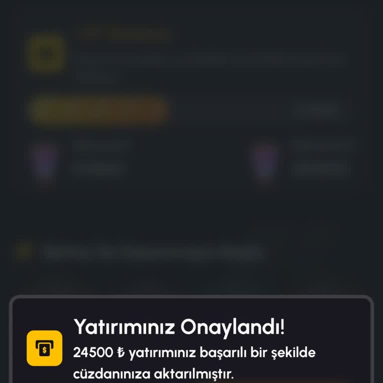 Banka Havalesiyle Yatırdığım 24.500 TL Hesaba Yansımıyor
