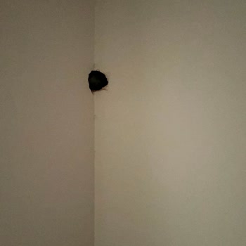Simfer Yetkili Servisinin Hatalı Montajı Evime Ağır Hasar Verdi