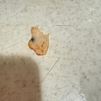 Müşteri Sağlığı Tehlikede: Küflü Döner Ve Eksik İade