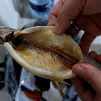 A101’de Donuk Balık Ürününde Koku Ve Renk Sorunu, Ücret İadesi İstiyorum