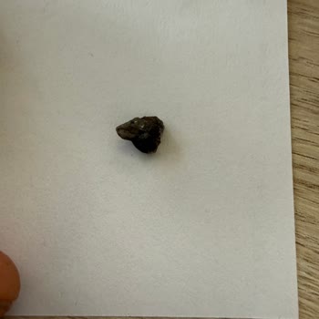 Eti Cin Ürünün İçinde Çıkan Demir Parçası Diş Kırıklığına Yol Açtı