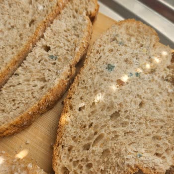 Son Kullanma Tarihi Öncesinde Küflü Ekmek İçin İade Talebi