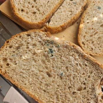 Son Kullanma Tarihi Öncesinde Küflü Ekmek İçin İade Talebi